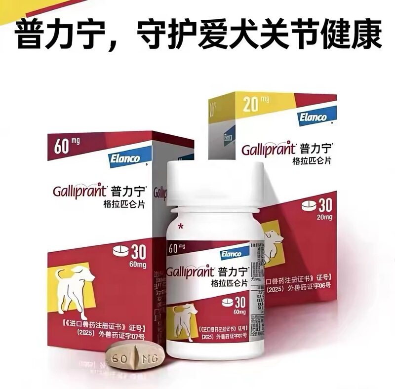 Purinil Pet Pain Reliever Grapilun for Dogs Joint Fracture Patella Post-Surgery Pain Relief Gift Blue Usa Purinil Pet Pain Reliever Grapilun for Dogs Joint Fracture Patella Post-Surgery Pain Relief Gift Blue Usa