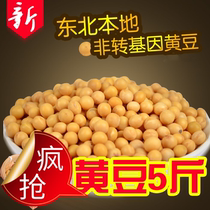 Новый северо-восточный новый соевый соевый соевый соевый объект Heilongjiang Bean Sprout Soy Milk 5 kg Bulk