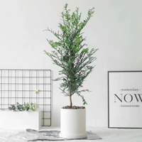 Прямая трубка из белой керамики длиной 50-60 см.