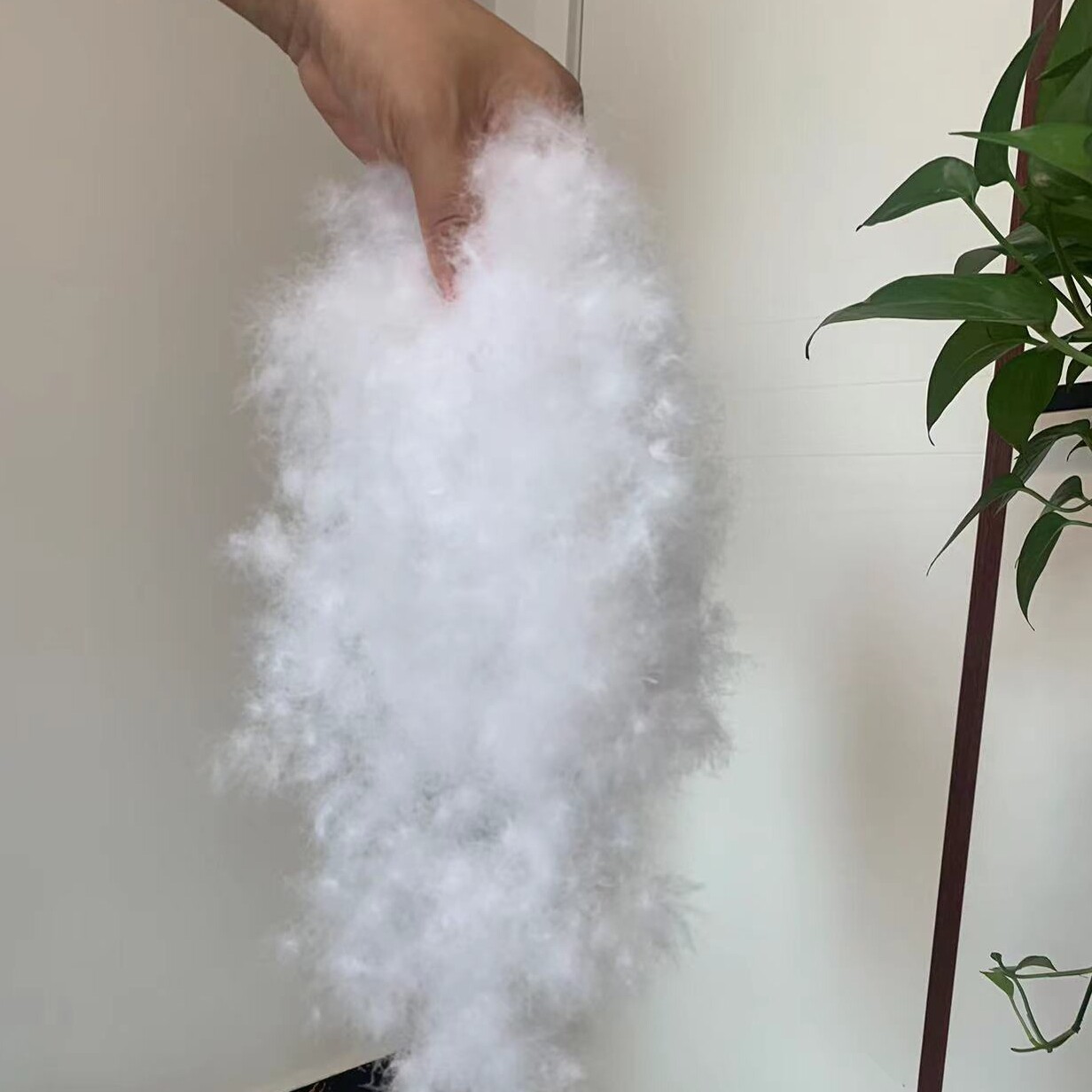 鸿羽  羽绒制品的LOGO
