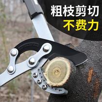 Fruit tree pruning branches big scissors strong scissors garden telescopic rough shears home pruning gardening tools long handle province