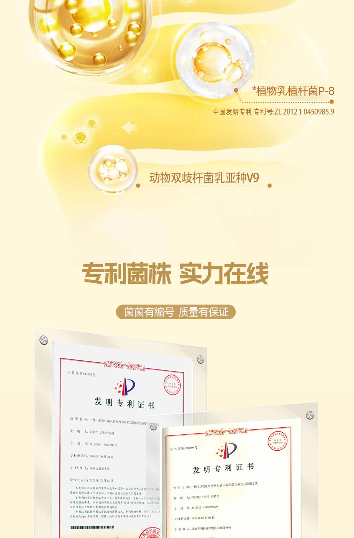 安享好物 安享D级含乳饮料-优乐多后生元乳酸菌 国标 