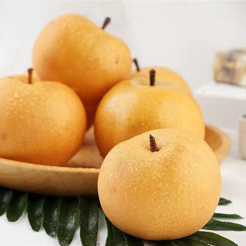 山东莱阳 秋月梨 4.5斤 图2