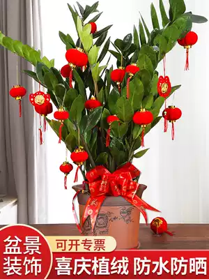 Small lantern flocking big red bonsai hanging interior decoration Living room hanging tree New house scene decoration decoration products