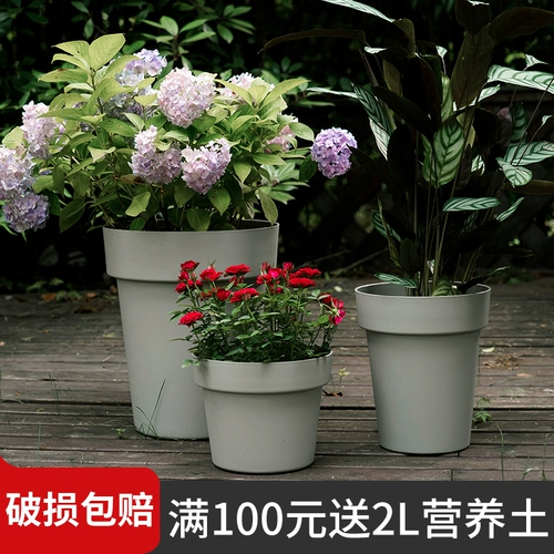 Глобальная эллинальная смола круглый овощи, сочные растения, горшечный лунный зеленый укроп пластиковый балкон -балкон