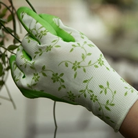 Светло-зеленый