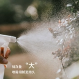 Чайник, антибактериальный спрей для домашнего использования, электрораспылитель