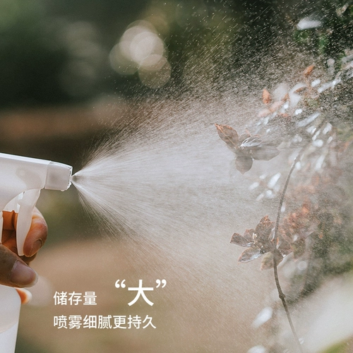 Чайник, антибактериальный спрей для домашнего использования, электрораспылитель