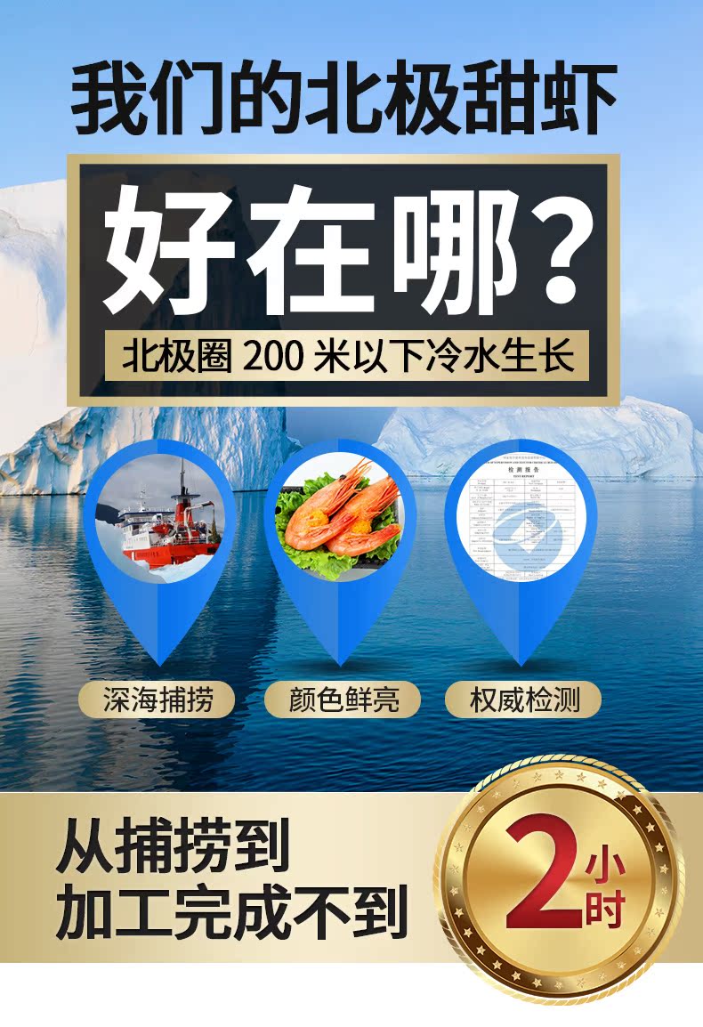 丹麦进口 北极甜虾 即食腹籽甜虾 净重4斤 图4
