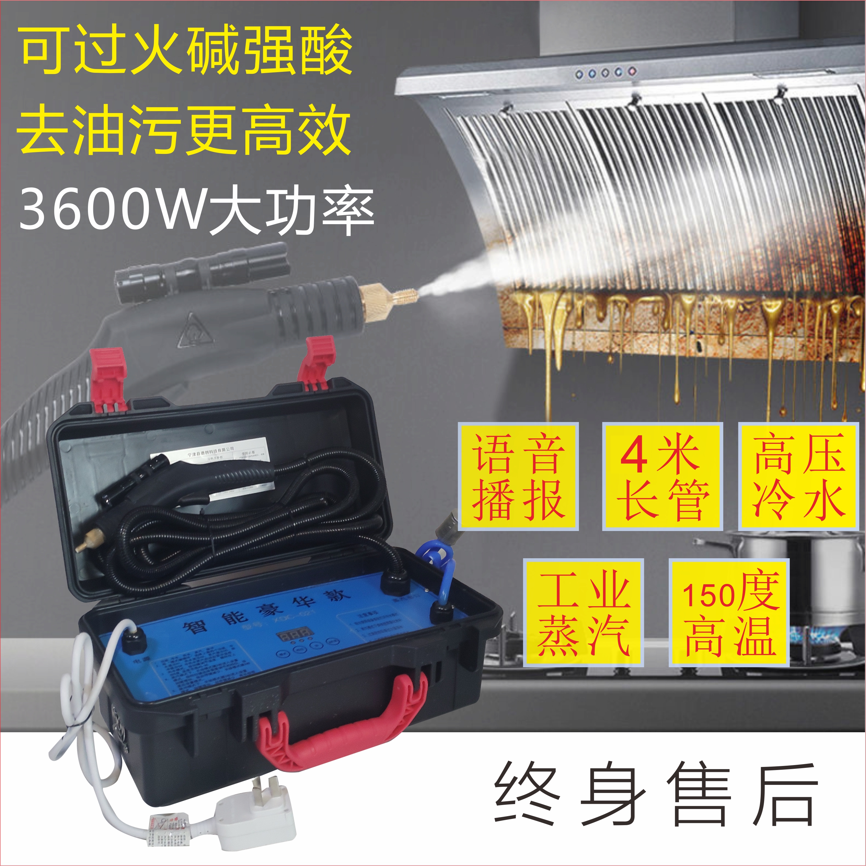 High Temperature High Pressure Steam Cleaner Commercial Domestic Multifunction Kitchen Range Hood Air Conditioning Home Appliances Car Wash Cleaner