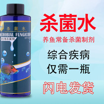 Goldfish disinfection and sterilization water aquarium fish tank turtle sterilization water special koi sterilization fish medicine