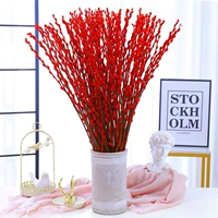 Красная серебряная ива составляет около 80 см. 100 филиалов