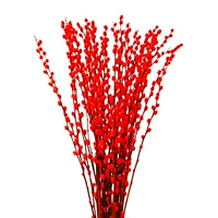 Красная серебряная ива имеет высоту около 1,40 метра