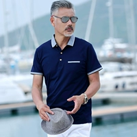 T8118 Тибетский Цин