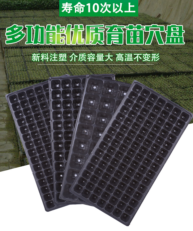 Sports disk : Cave - plate Seedle Box Seedle Box Seedle Box Plant Cave Sprout Plate to Sprout Cave