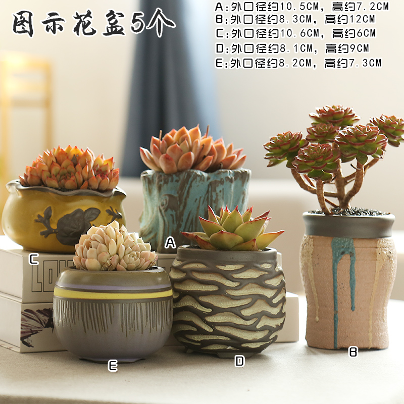 Fleshy large special breathable simple retro new basin exchanger with the ceramics flower POTS potted plant coarse pottery diameter from running