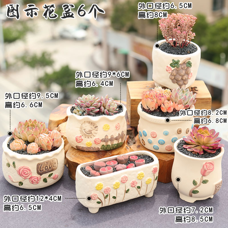 Period more breathable special offer a clearance meat meat meat flowerpot ceramic biscuit firing coloured drawing or pattern potted small creative contracted the desktop