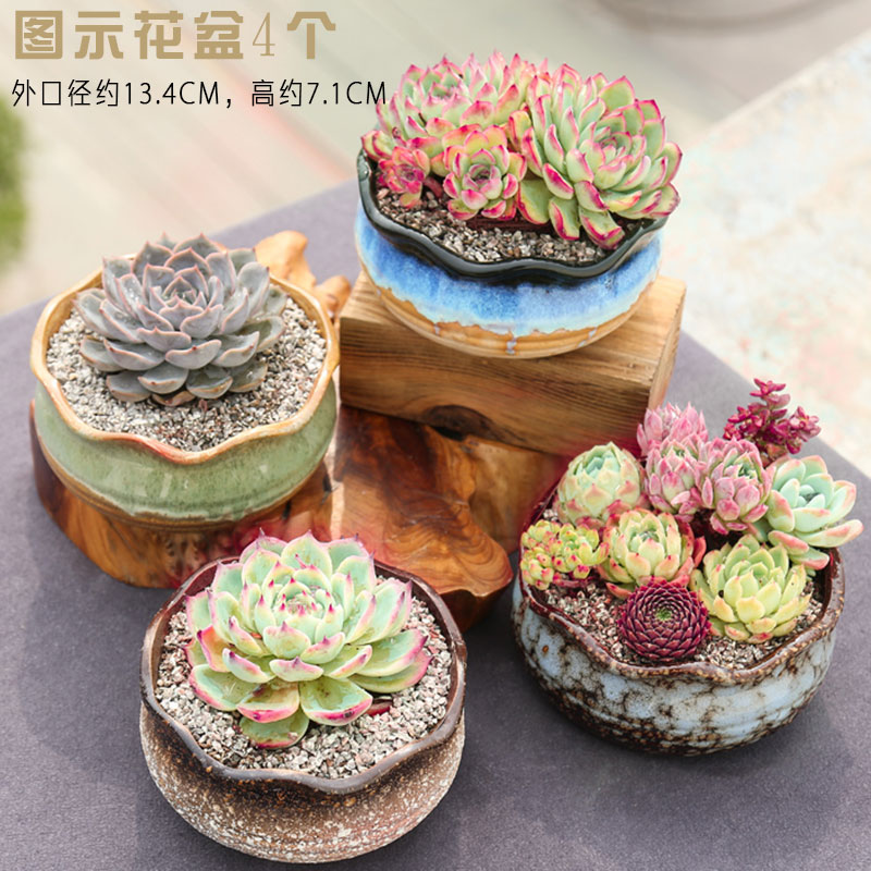 End flowerpot ceramic sale indoor the plants, fleshy meat meat clearance diameter platter small flower pot in coarse pottery