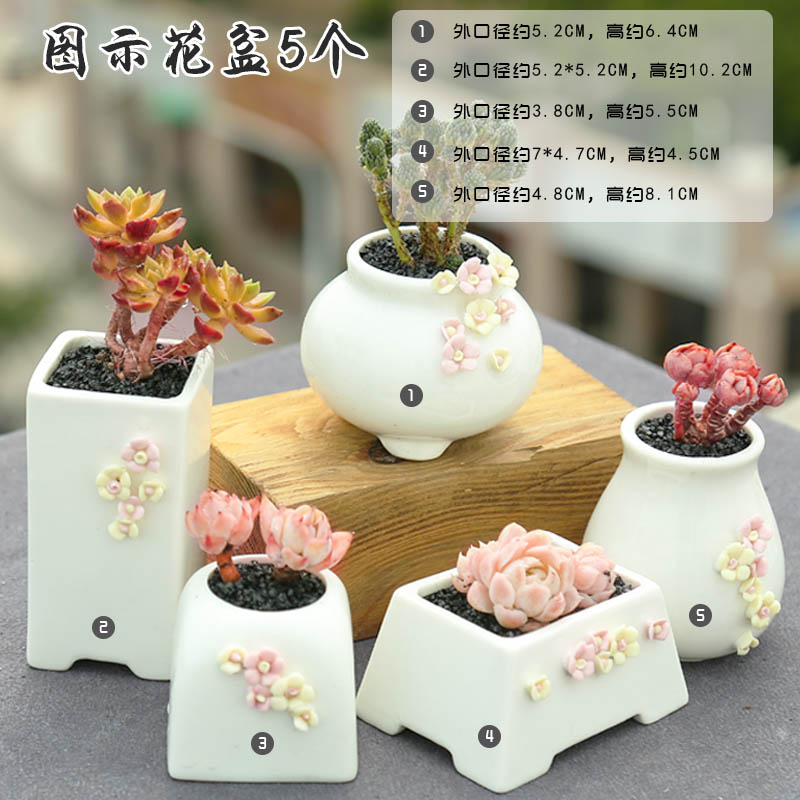 Fleshy large special breathable simple retro new basin exchanger with the ceramics flower POTS potted plant coarse pottery diameter from running