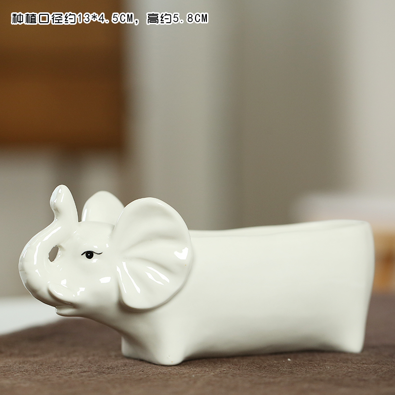 End, lovely contracted fleshy flower pot basin place adorn interior of sprouting cartoon elephant ceramic delicate meat meat on sale