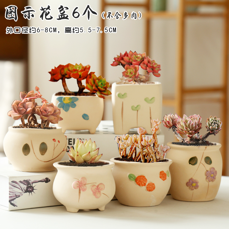 Period more breathable special offer a clearance meat meat meat flowerpot ceramic biscuit firing coloured drawing or pattern potted small creative contracted the desktop