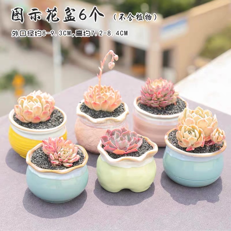 The End flow flowerpot ceramic glaze through pockets tao, fleshy special package mail flower pot in meat meat clearance indoor the plants