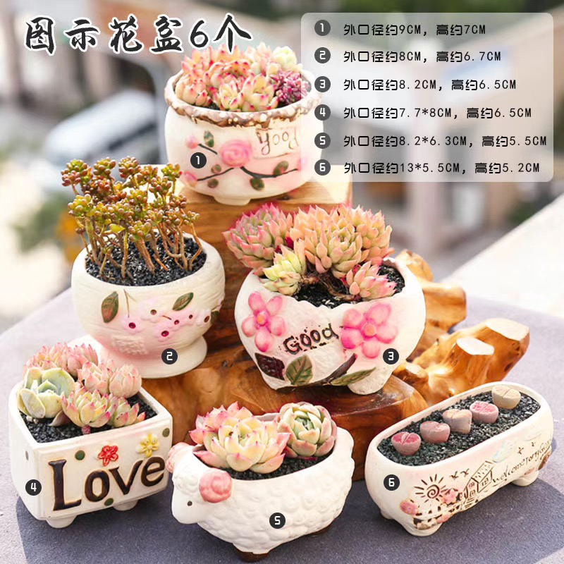 End flowerpot ceramic sale indoor the plants, fleshy meat meat clearance diameter platter small flower pot in coarse pottery