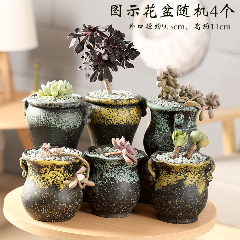 End flowerpot ceramic sale indoor the plants, fleshy meat meat clearance diameter platter small flower pot in coarse pottery