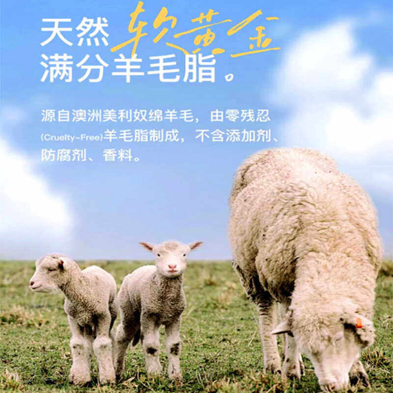 Yifumei Nipple Nipple, Breast, Mutton Fat Cream, Anti-Chapped Cream for Pregnant Women, Postpartum Repair Cream, Special for Lactation Periods