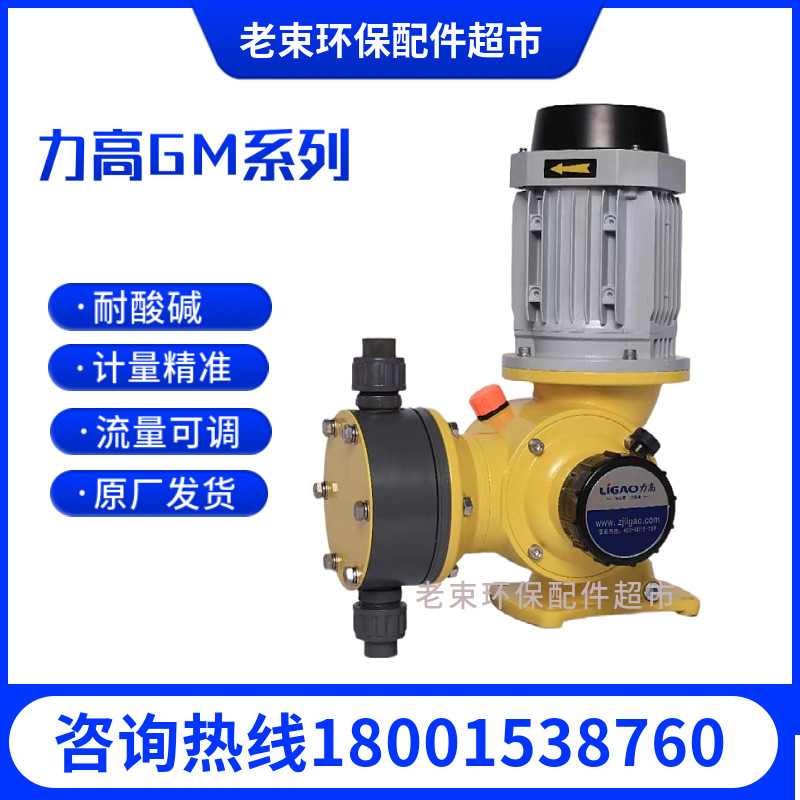 GM curing agent pump Diaphragm metering pump Dosing pump Sewage treatment pump Strong acid anticorrosion 50-500L H