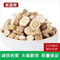 Chinese herbal medicine new stock wild Banlang root section 500g grams sulfur-free Banlang root dried tea Large green leaf block Chinese Herbal medicine