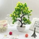 Mô phỏng hoa chào khách thông [cây tốt lành] trồng trong phòng khách trong nhà máy tính để bàn giả hoa trang trí đồ trang trí - Hoa nhân tạo / Cây / Trái cây