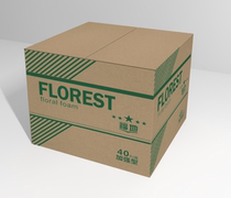 Fudi strengthens flower arrangement flower mud DIY water-absorbent and fresh-keeping foam 40 boxes of flower mud flower shop supplies direct sales