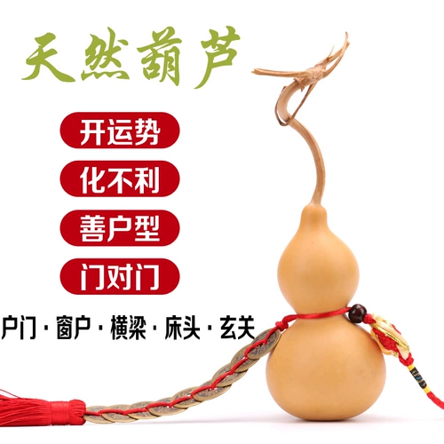 Кулон натуральной тыквы