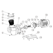 EMAUX Italian Wanshi swimming pool circulating water pump SE cast iron pump accessories commercial filter pump water treatment system