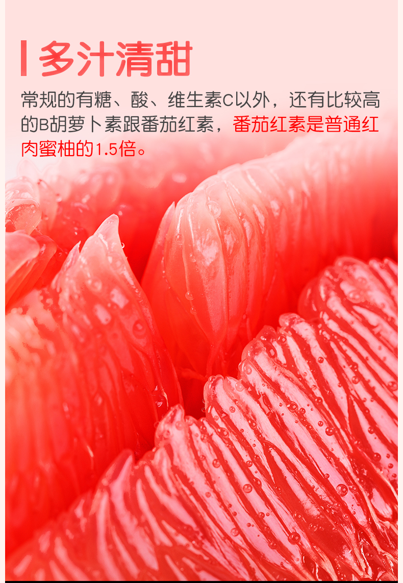 福建平和琯溪蜜柚 红心柚 毛重10斤 约3-5粒 图9