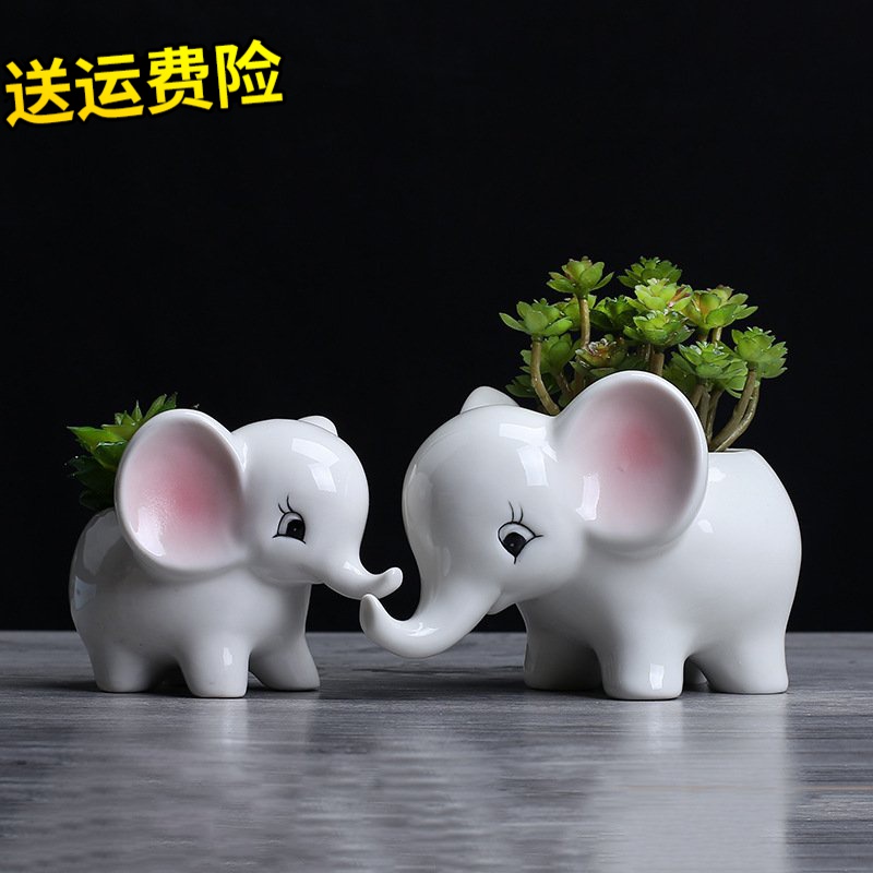 Fleshy flower POTS potted creative ceramic express little like animals indoor pot large Fleshy the plants ceramic flower pot
