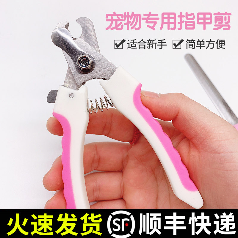 Pet Rabbit Fingernail Cut Pet Dog Kitty Special Nail Cut Knife Small Pet Nail Clippers