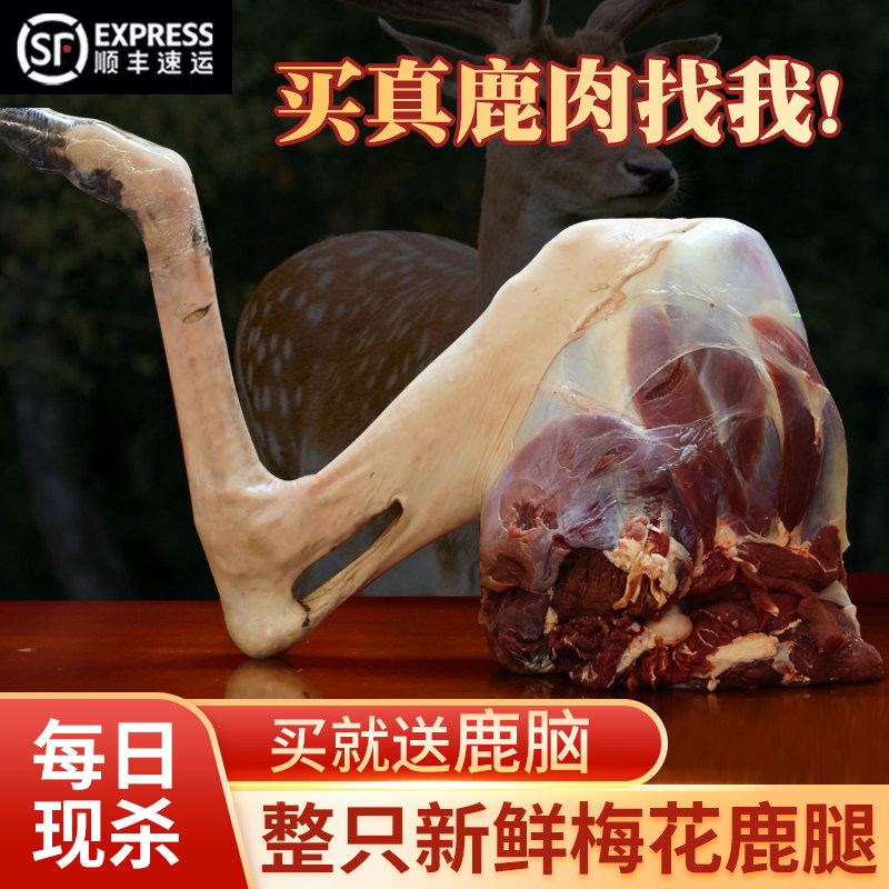 Northeast Long White Mountain Breeding Plum Blossom Deer Meat Fresh Now Killing Whole Only With Belt Fascia Deer Leg Meat Fresh Meat Authentic Deer Meat-Taobao