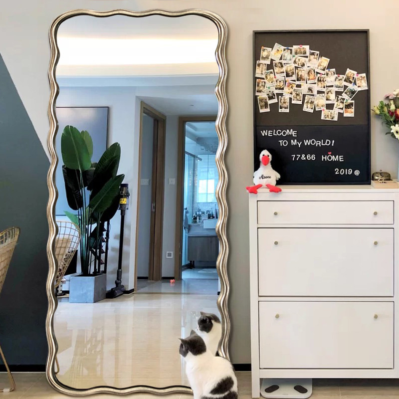 Eurisins wind cloakroom full body mirror retro floor large mirror minimalist light extravagant wall mirror for old full-body mirror