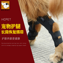 Pet knee leg guard dog fracture leg injury surgery fixed support cover golden retriever large dog protective gear