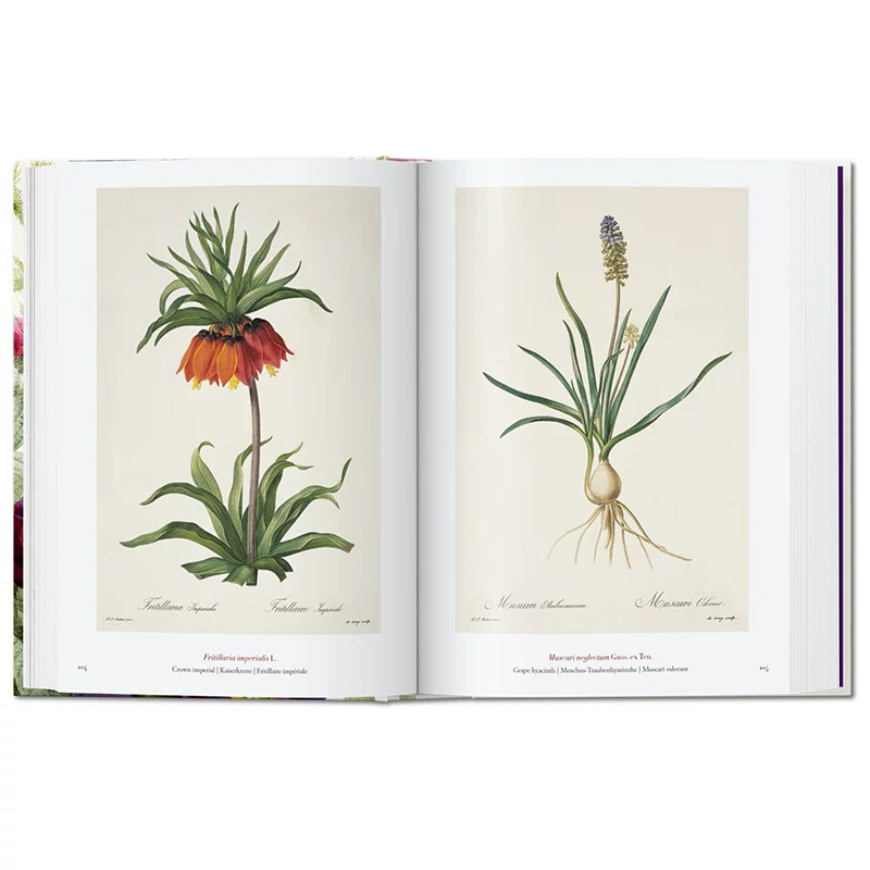 «Spot Taschen Tasan Genuine Redouté. Книга цветов 40-я годовщина Read Flower Books»