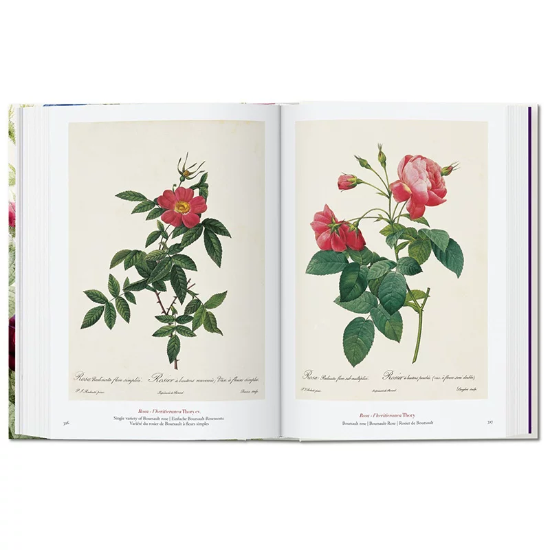 «Spot Taschen Tasan Genuine Redouté. Книга цветов 40-я годовщина Read Flower Books»
