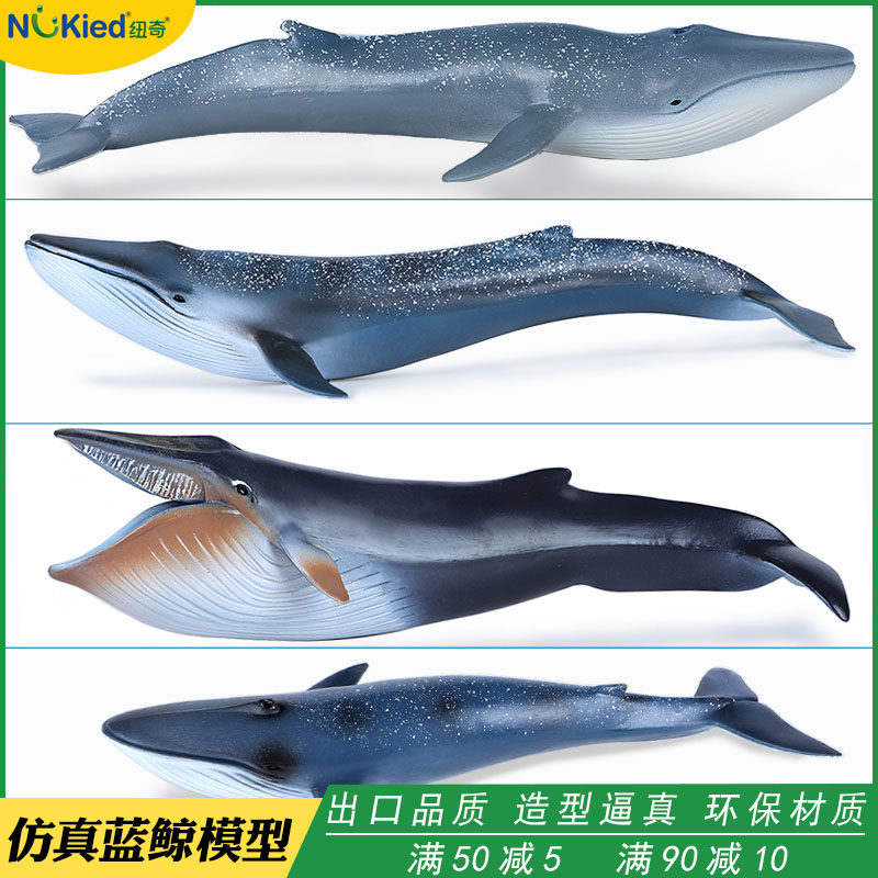 New simulation blue whale toy Marine animal model Underwater creature Solid plastic children's science and education toy gift