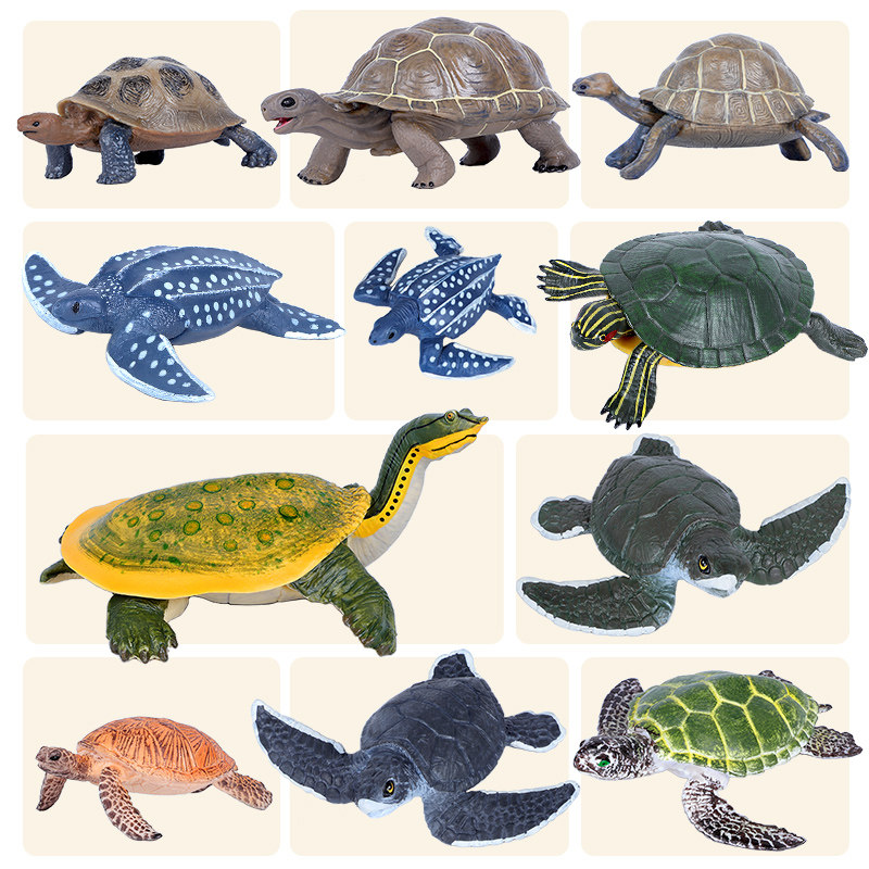 Simulation marine animals Turtle model Brazilian turtle Living room toy Elephant turtle Leatherback turtle Turtle Children's science and education gift
