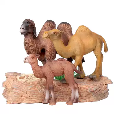Simulation double peak camel toy animal model safari Plastic solid children's doll cognitive ornaments