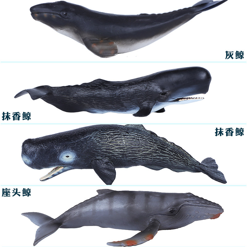 Simulated Sperm Whale Toy Gray Whale Humpback Whale Model Solid Plastic Children Cognitive Swing Gift
