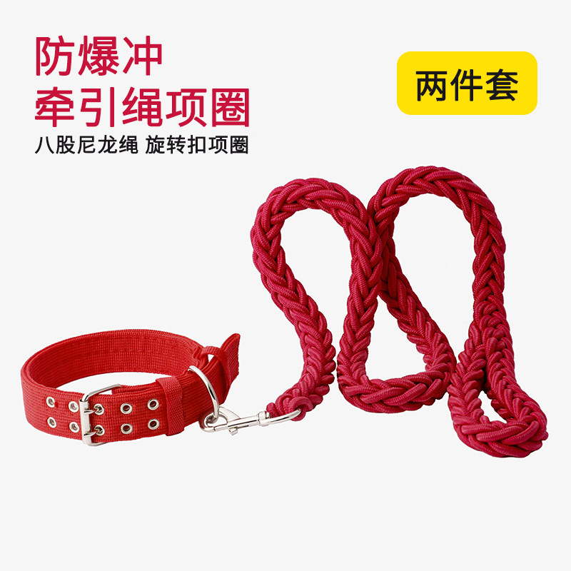 Double-row buckle plus coarse dog chain large canine dog traction rope gold wool samo great dog item ring dog rope two pieces