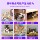 Феромоны Feliway для кошек feliway Classic anti-cat urine stress Pet Spray 20 мл спрей для домашних животных mini 2