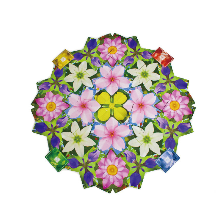 米寶海豚 蓮花lotus 正版中文桌遊